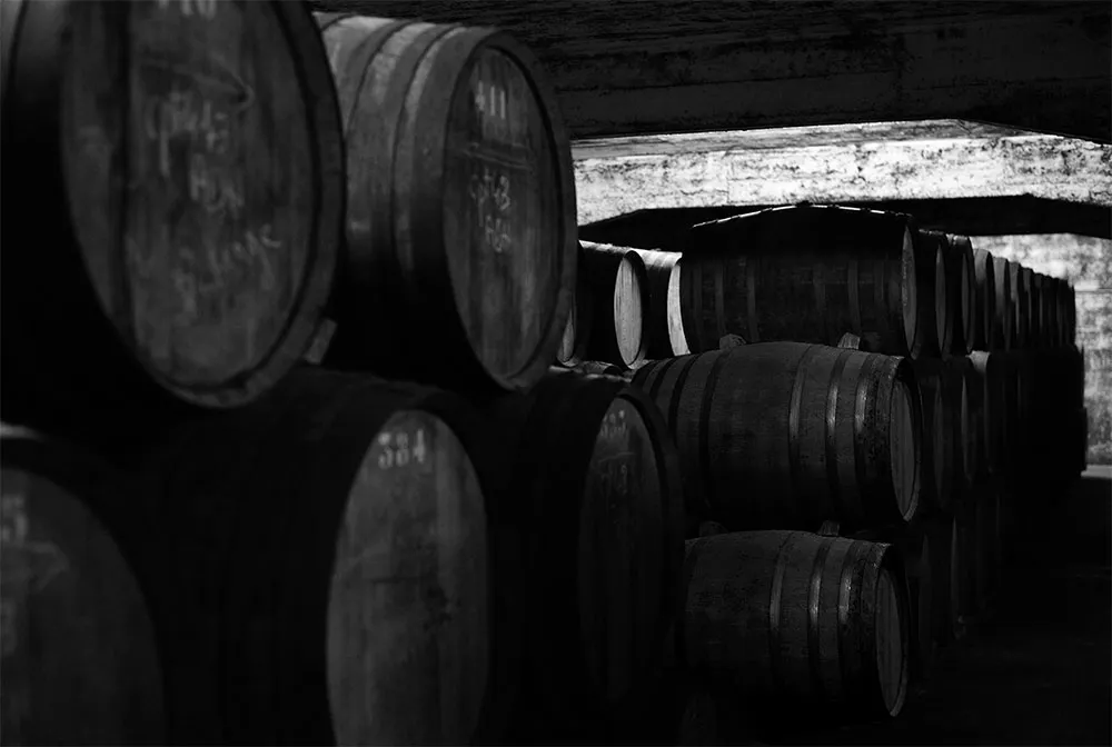 Oak casks resting in the chai