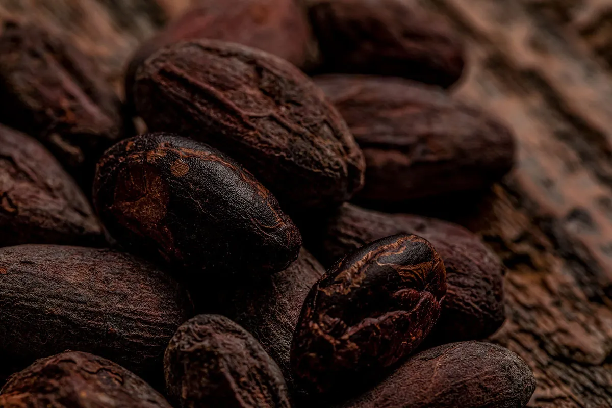 Cacao beans